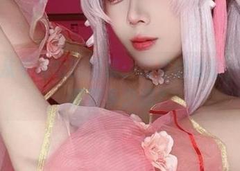 阿九从不咕咕的图集：剑圣的秘诀，这得需要多少剑？
